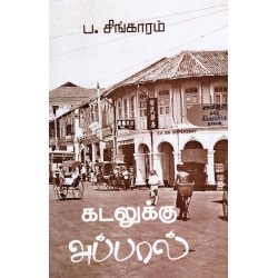 கடலுக்கு அப்பால்