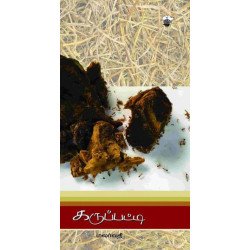 கருப்பட்டி