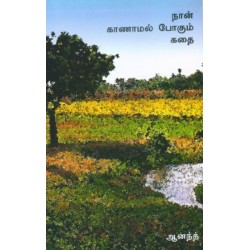 நான் காணாமல் போகும் கதை