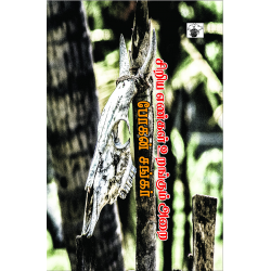 சிறிய எண்கள் உறங்கும் அறை