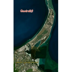 வெள்விரி வெள்விரி