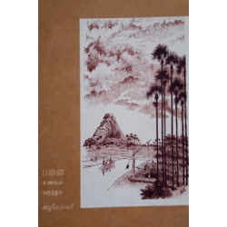 பனை உணவும் மருந்தும் பனை உணவும் மருந்தும்