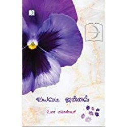 வயலட் ஜன்னல் வயலட் ஜன்னல்