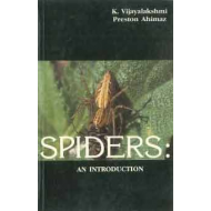 SPIDERS: An Introduction