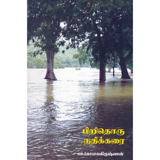 பிறிதொரு நதிக்கரை