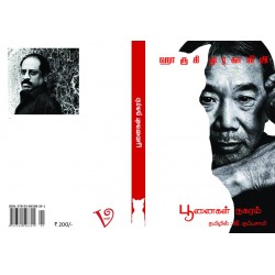 பூனைகள் நகரம் பூனைகள் நகரம்