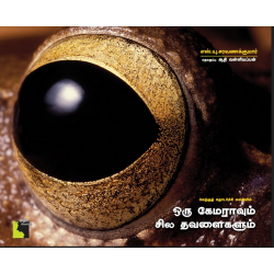 ஒரு கேமராவும் சில தவளைகளும்