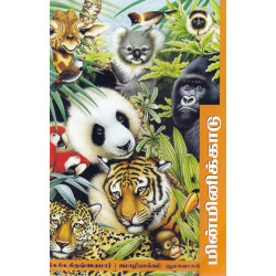 மின்மினிக்காடு