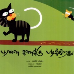 பூனை கணக்கு படிக்கிறது