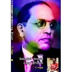 அம்பேத்கர் ஒளியில் எனது தீர்ப்புகள்
