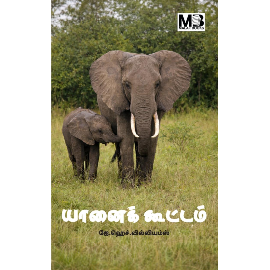 யானைக் கூட்டம்