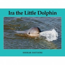 Ira The Little Dolphin Ira The Little Dolphin