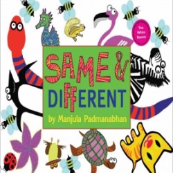 Same And Different