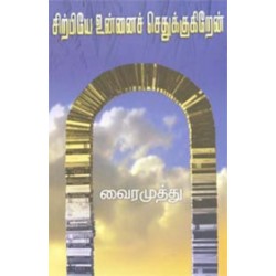 சிற்பியே உன்னை செதுக்குகிறேன்