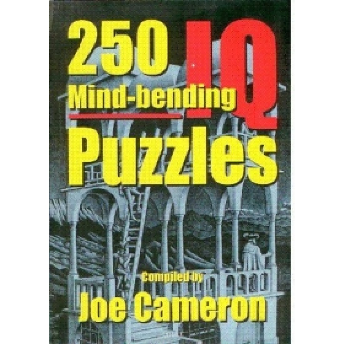 250 Mindbending IQ Puzzles Joe Cameron ஜெய்கோ பப்ளிஷிங் ஹவுஸ்