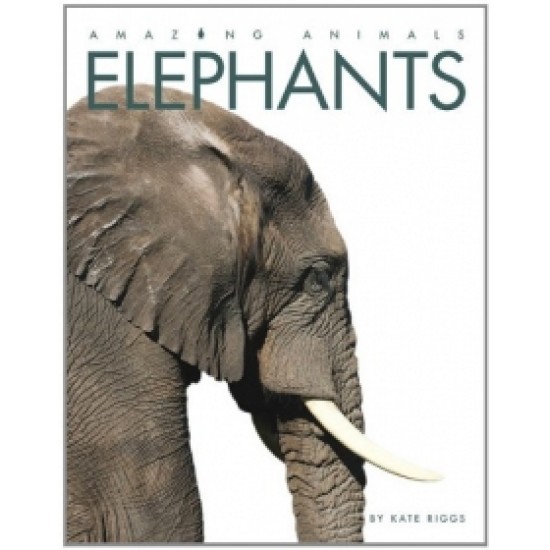 Elephants: Amazing Animals Series