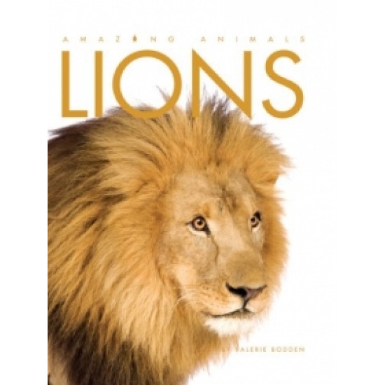 Lions: Amazing Animals Series