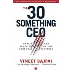 The 30-Something CEO