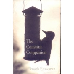 The Constant Companion