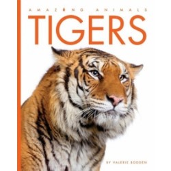 Tigers: Amazing Animals Series Tigers: Amazing Animals Series