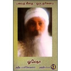 பகவத் கீதை ஒரு தரிசனம் (பாகம் 13)