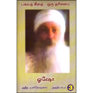 பகவத் கீதை ஒரு தரிசனம் (பாகம் 3)