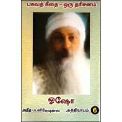 பகவத் கீதை ஒரு தரிசனம் (பாகம் 6)