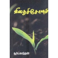 விதைச் சோளம்