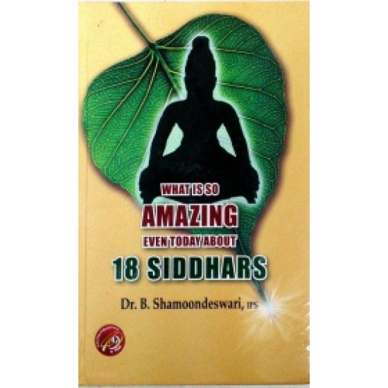 What is so amazing 18 siddhars