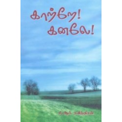 காற்றே! கனலே!