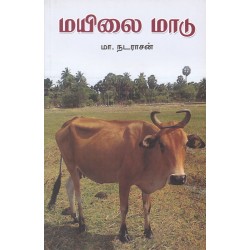 மயிலை மாடு