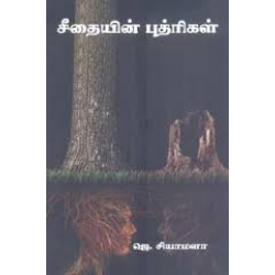 சீதையின் புத்ரிகள்