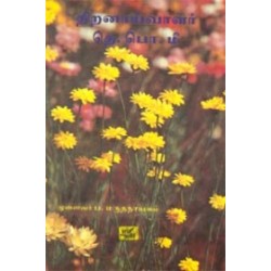 திறனாய்வாளர் தெ. பொ. மீ.