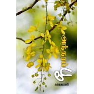 அந்தரப் பூ