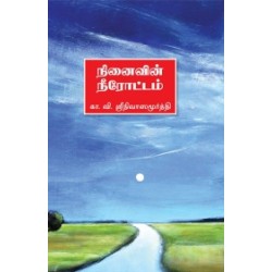 நினைவின் நீரோட்டம்
