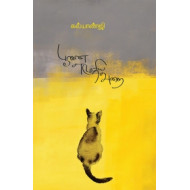 பூனை எழுதிய அறை