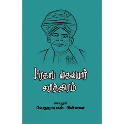 பிரதாப முதலியார் சரித்திரம் (வளரி)