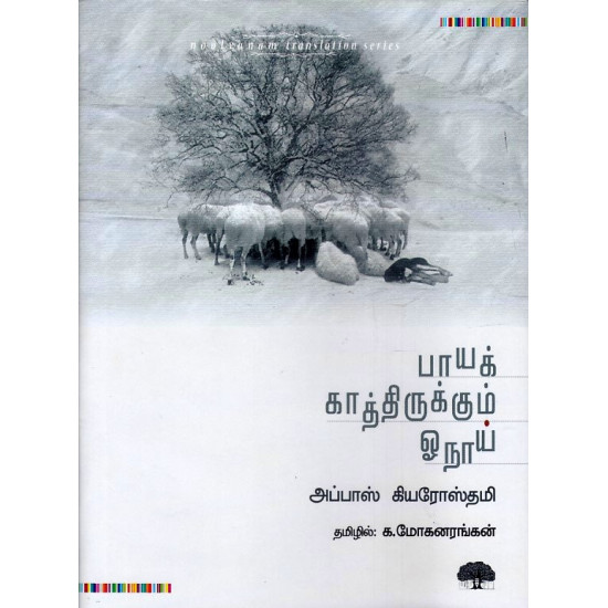 பாயக் காத்திருக்கும் ஓநாய்