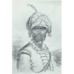 ஹைதர் அலி