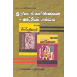 இரட்டைக் காப்பியங்கள் - காப்பியப் பார்வை