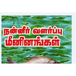 நன்னீர் வளர்ப்பு மீனினங்கள்