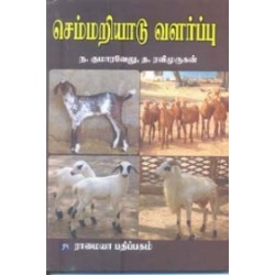 செம்மறியாடு வளர்ப்பு