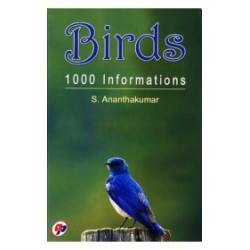 Birds 1000 Informations