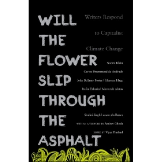 Will the Flower Slip Through the Asphalt