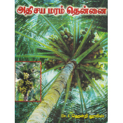 அதிசய மரம் தென்னை அதிசய மரம் தென்னை