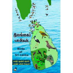 இலங்கைப் பட்சிகள்
