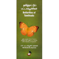  தமிழ்நாட்டுப் பட்டாம்பூச்சிகள் | Butterflies of Tamilnadu