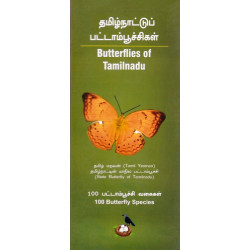  தமிழ்நாட்டுப் பட்டாம்பூச்சிகள் | Butterflies of Tamilnadu
