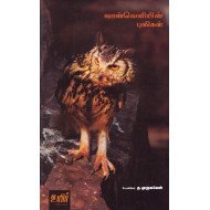 வான்வெளியின் புலிகள்