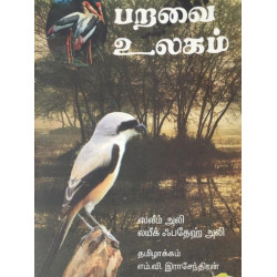 பறவைகள் உலகம் பறவைகள் உலகம்